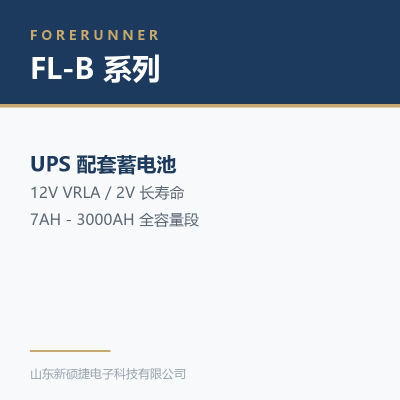 FL-B 系列 12V 阀控式铅酸蓄电池
